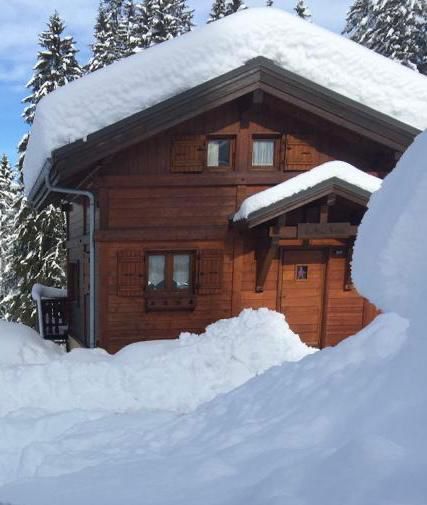 CHALET DU JARDIN ALPIN - Les Carroz d'Araches