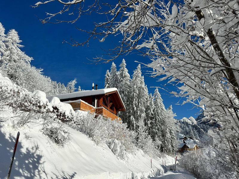 Châlet Chalet Les Pars - Gryon