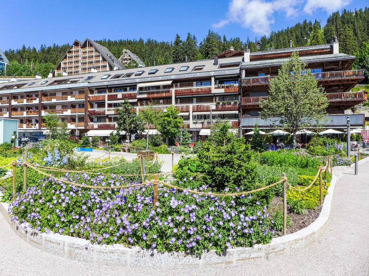 Appartement les Vignettes - Crans - Montana