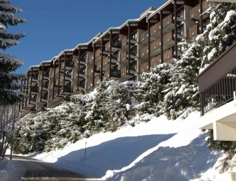 OURS BRUN - La Clusaz