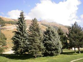 Appartement Plein Sud A 2ALP012 - Les Deux Alpes Centre