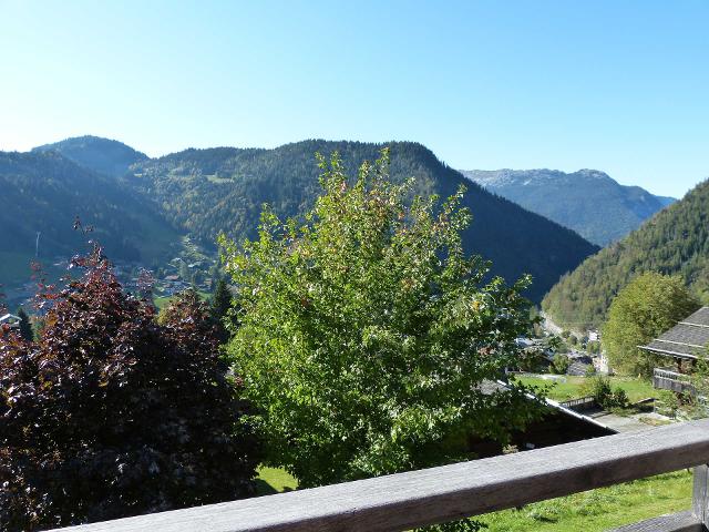 Chalet HUCHETTE - La Clusaz