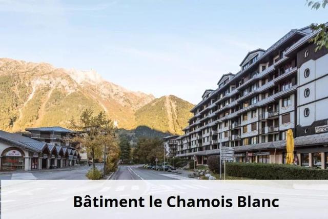L'Aiguille - maeva Home - Chamonix Sud