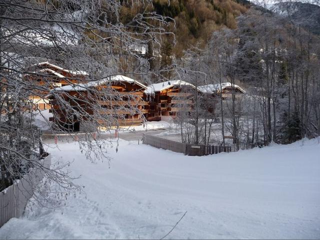 Appartements LE VIEUX MOULIN - Morzine
