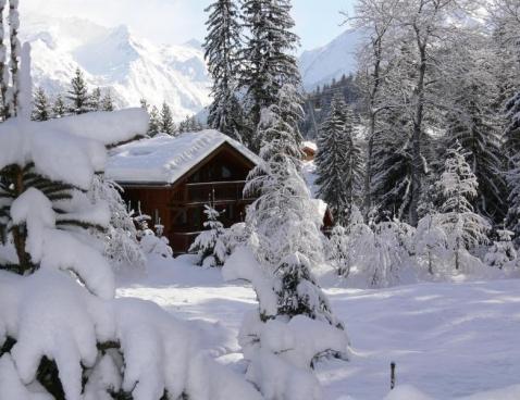 Les Chalets de la Tania DEB - La Tania