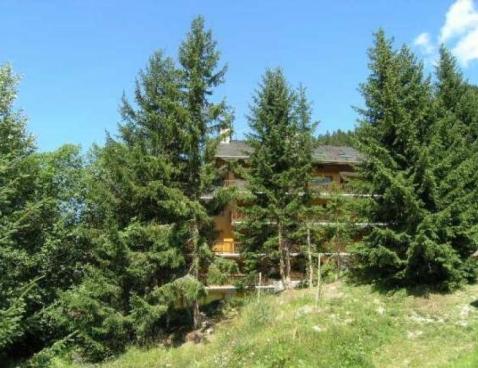 LA FORET/13 - Méribel Centre 1600