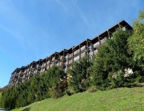 OURS BRUN - La Clusaz