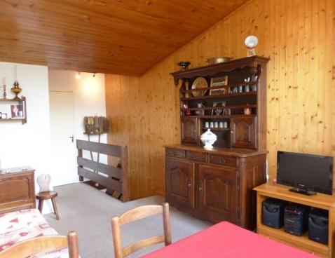 OURS BRUN - La Clusaz