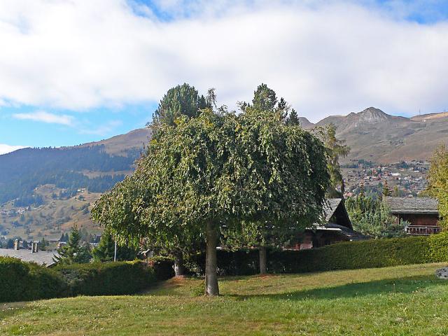 Chalet Petits Quinquins CH1935.11.1 - Bagnes - Verbier