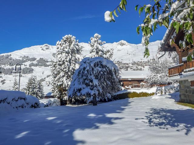 Chalet Petits Quinquins CH1935.11.1 - Bagnes - Verbier