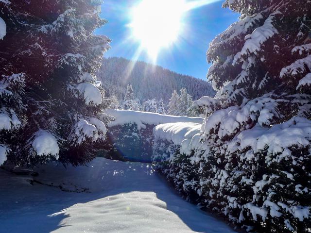 Chalet Petits Quinquins CH1935.11.1 - Bagnes - Verbier