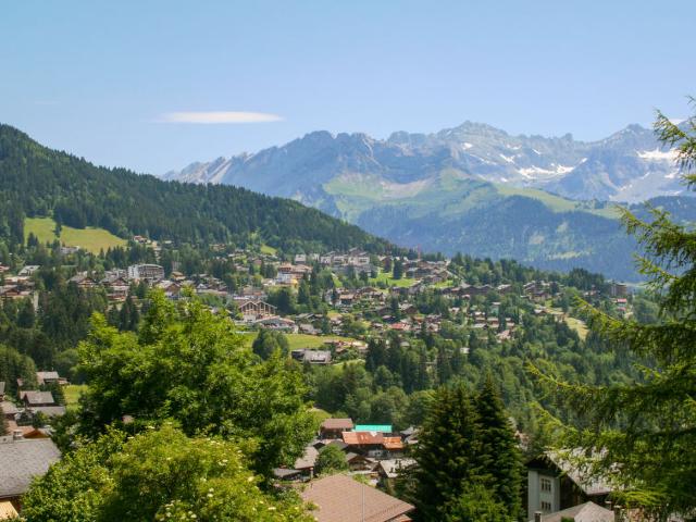 Châlet Meribel 1 - Villars - sur - Ollons