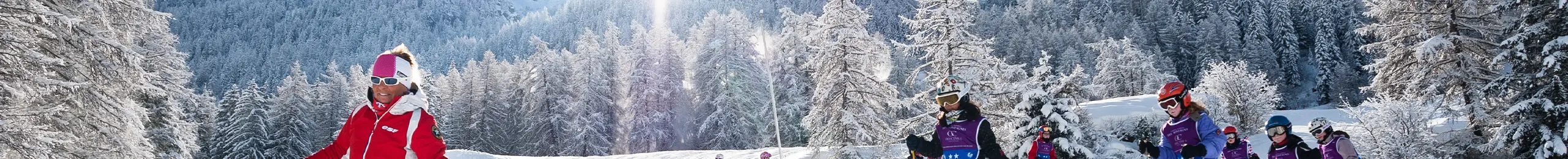 Une forêt enneigée