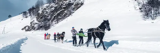 des personnes se font tirer par un cheval sur un sentier enneigé