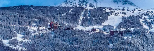 une forêt dans paysage montagneux enneigé