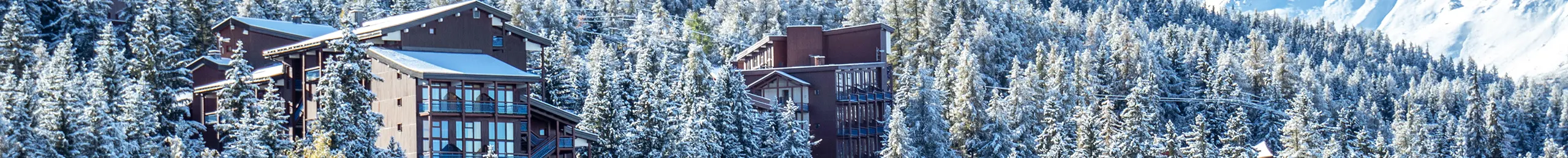 la station de ski dissimulée dans une forêt enneigée