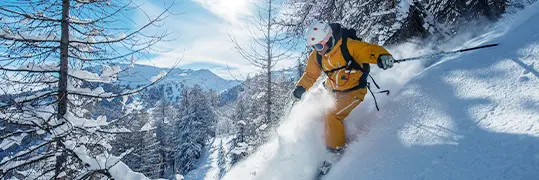 Une personne qui dévale une montagne à travers une forêt enneigée