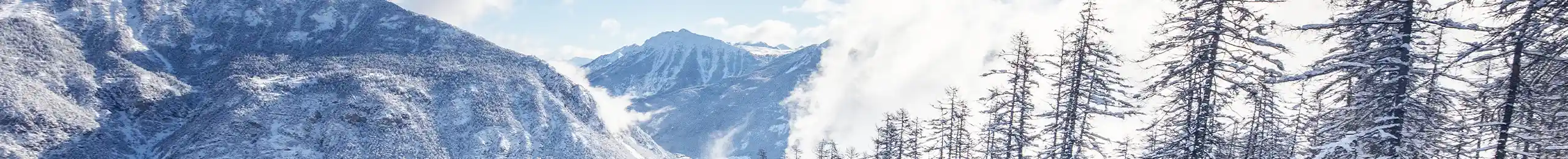 paysage montagneux et forestier sous la neige