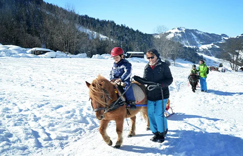 Balade en poney sur un sentier enneigé