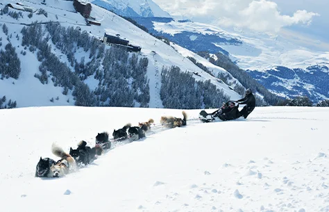 Parcours en chien de traineau