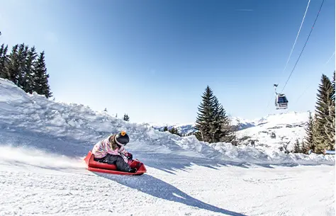 Descente en luge