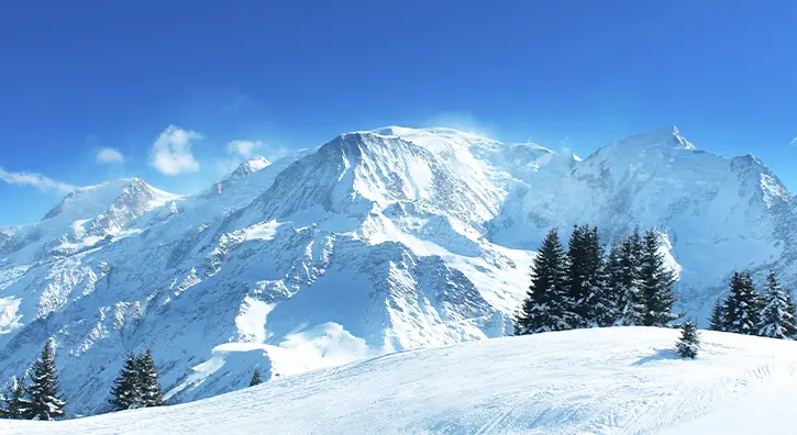 Montagnes et sapins enneigés