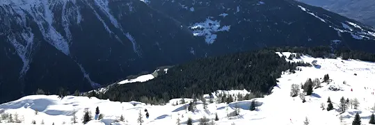 Pistes de ski