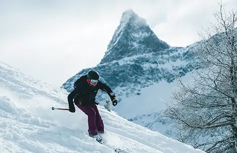 Skieur sur les pistes de ski