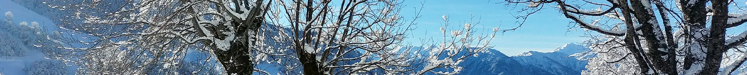 Des enneigés sont au premier plan tandis qu'au fond on peut apercevoir les montagnes enneigées