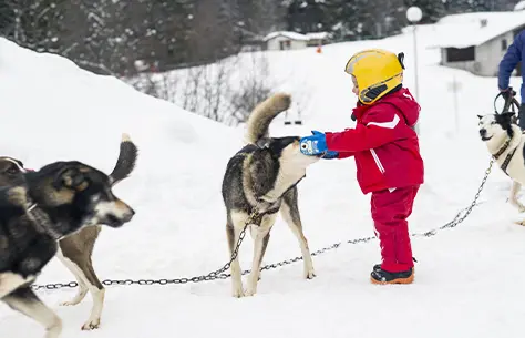 Enfant qui s'amuse avec un chien de traineau