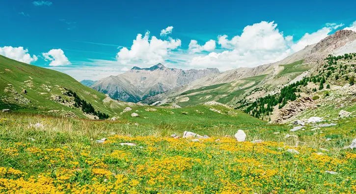 Paysage de plaines et de montagnes du Mercantour