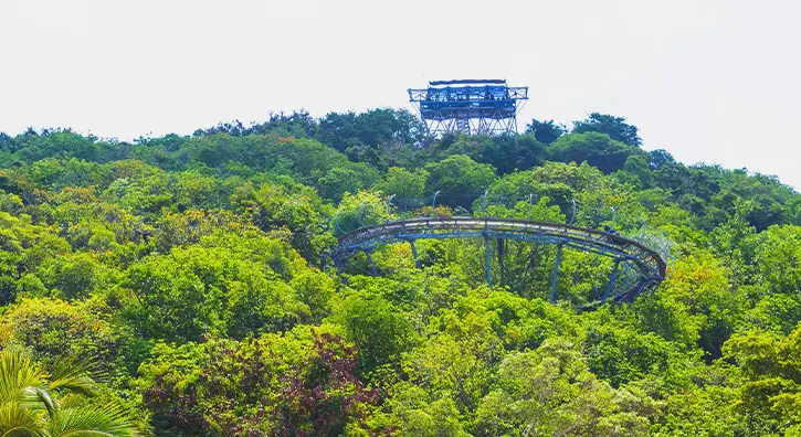 Vue sur un parcours de luge d'été