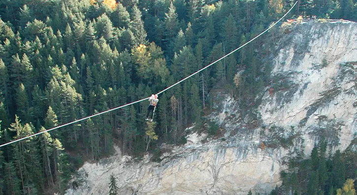 Tyrolienne au dessus des pins