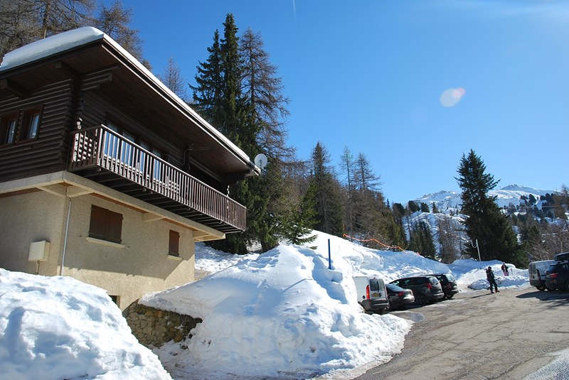 Chalet Springbock - Plagne Centre