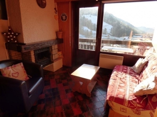 zzz avec balcon - SOLDANELLES - Le Grand Bornand