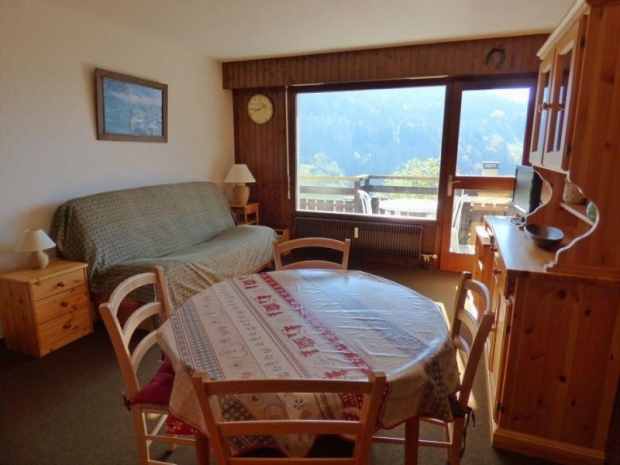 zzz avec balcon - CARIBOU - Le Grand Bornand