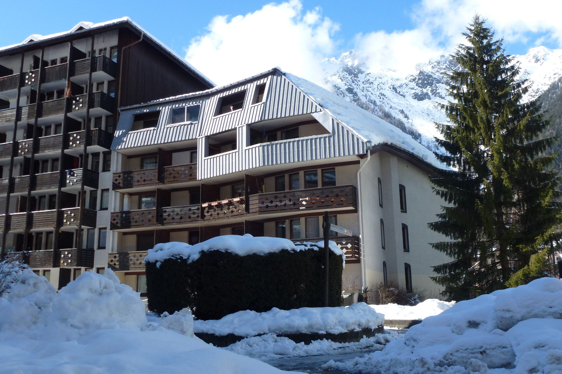 Appartements GREPON - Chamonix Sud