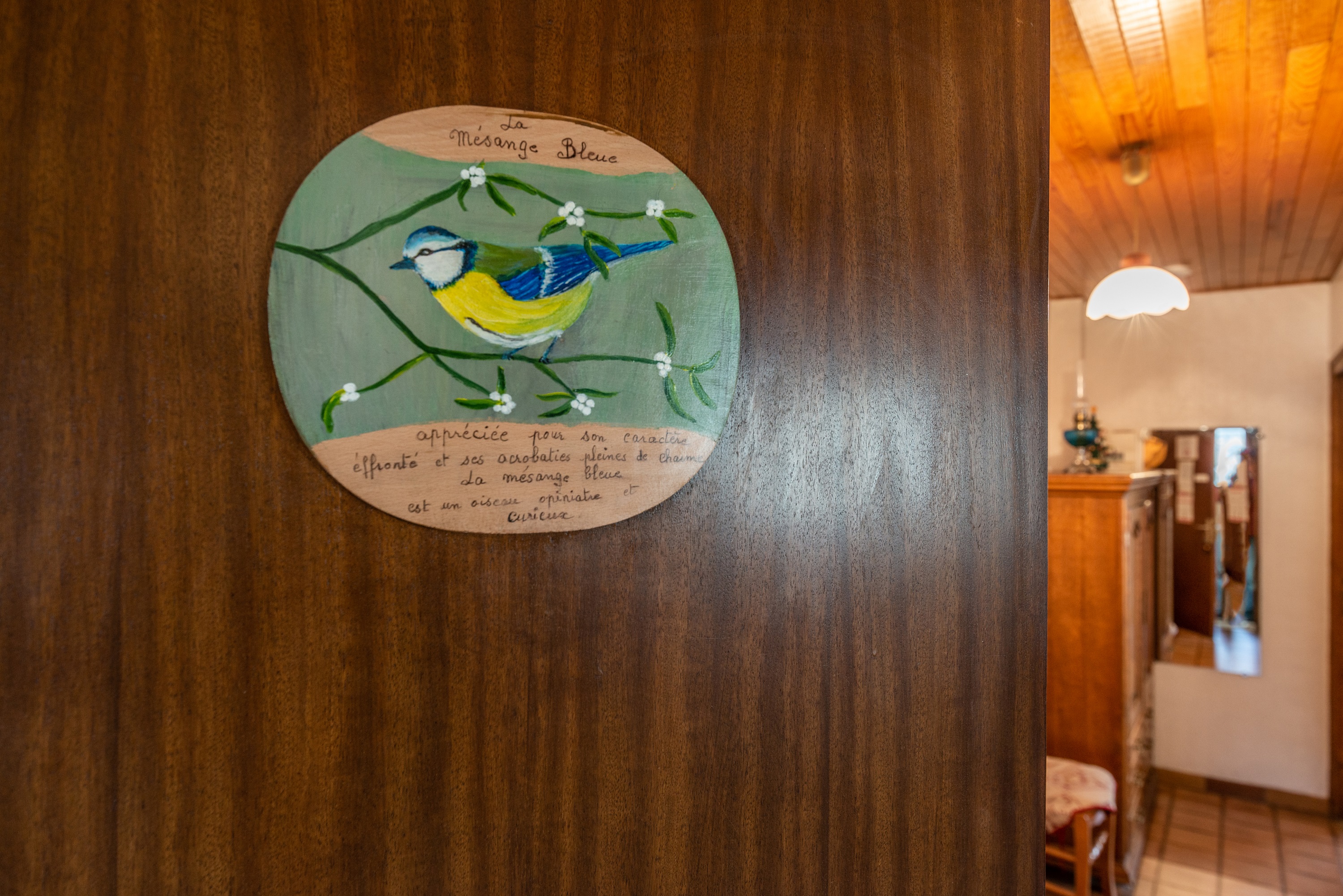 zzz - Appartement Pressenage - Les Gets