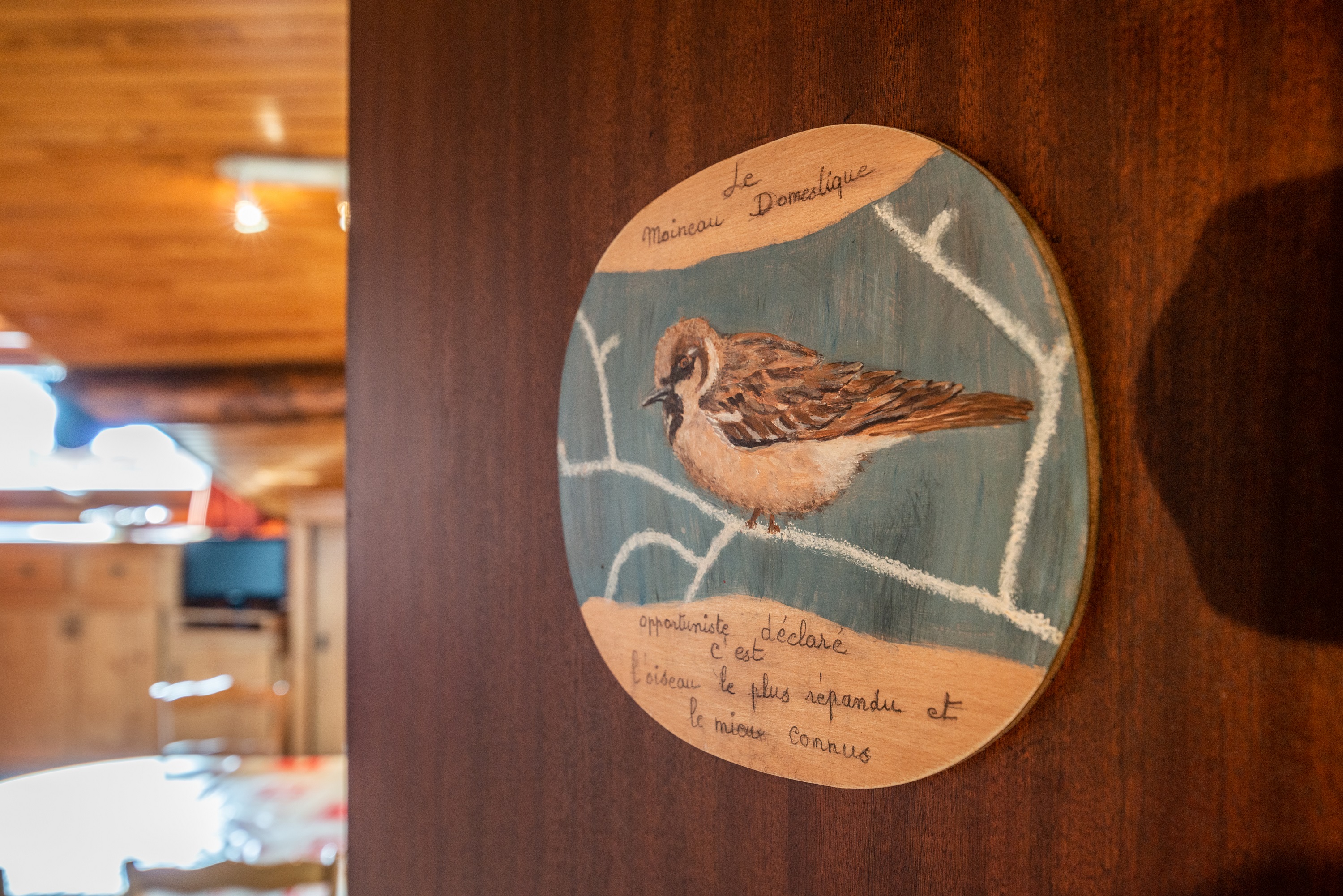 zzz - Appartement Pressenage - Les Gets