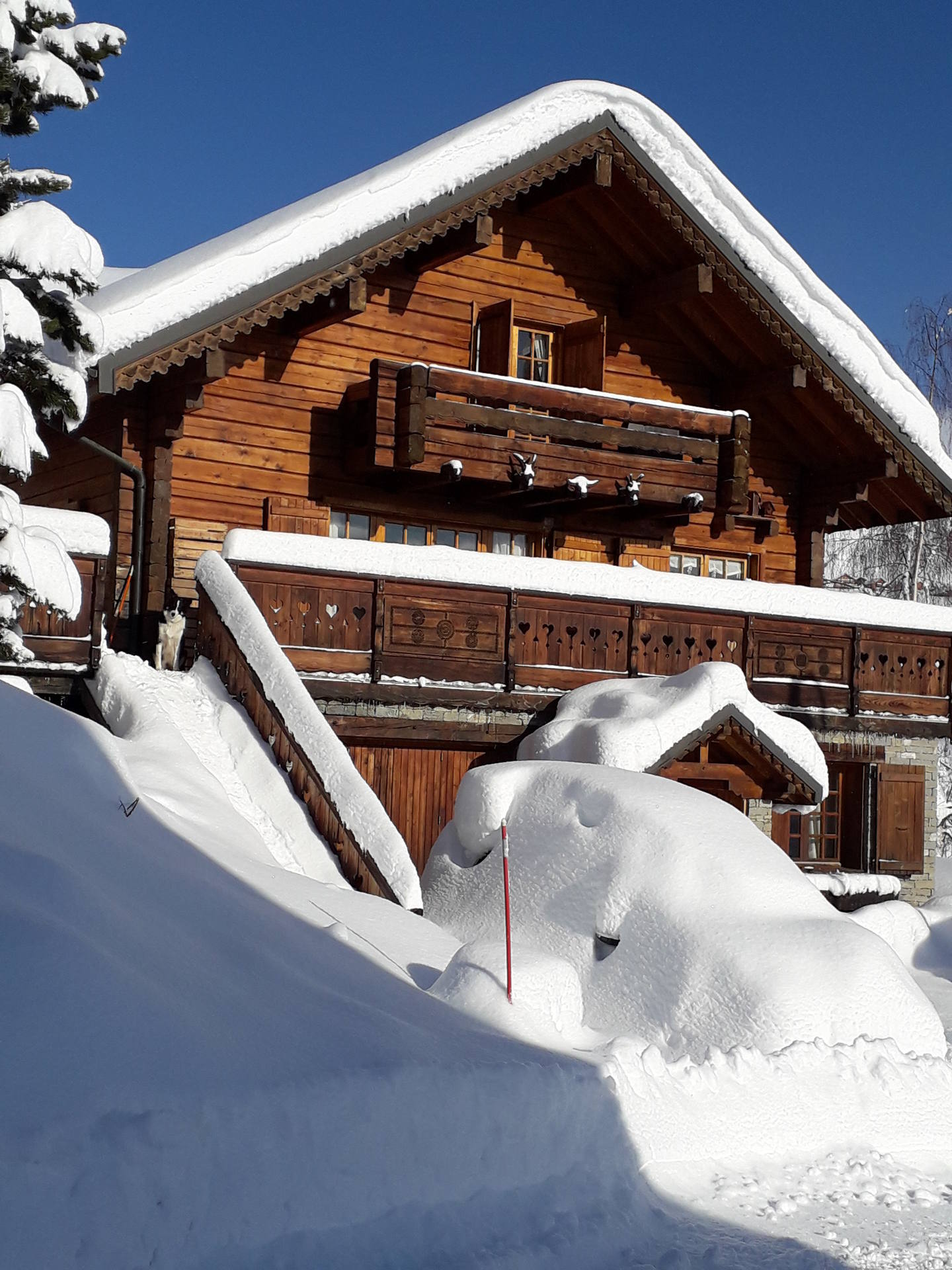 Chalet Rosophee - Le Corbier