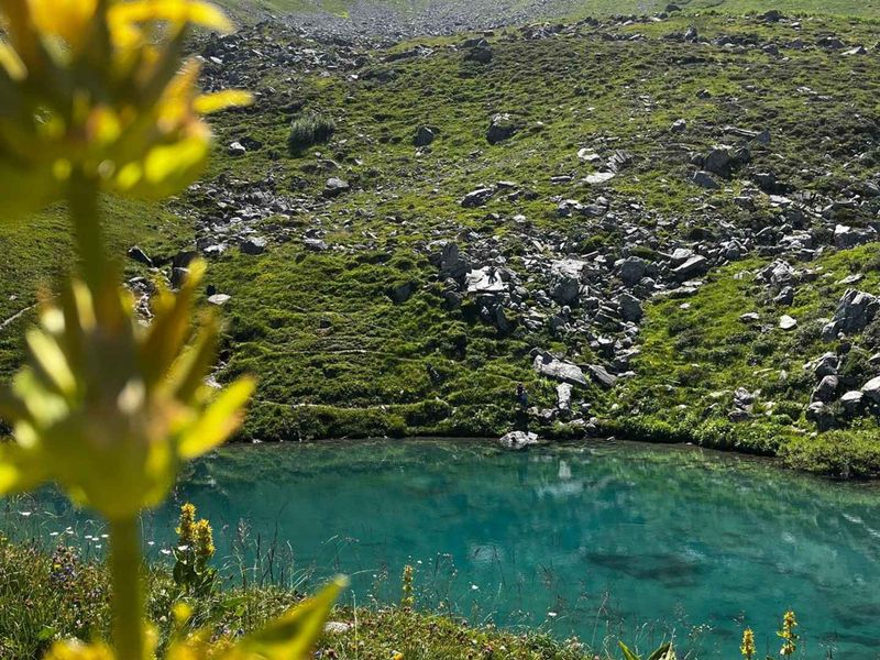 Résidence La Flachère - Saint François Longchamp