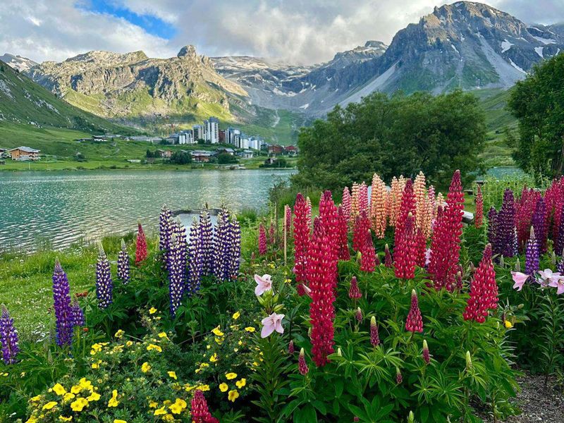 Studio Sud-Ouest Pied des Pistes avec Wifi et Animaux Bienvenus FR-1-449-51 - Tignes Val Claret