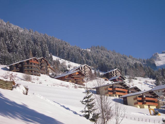 Appartements L'alpage - Châtel