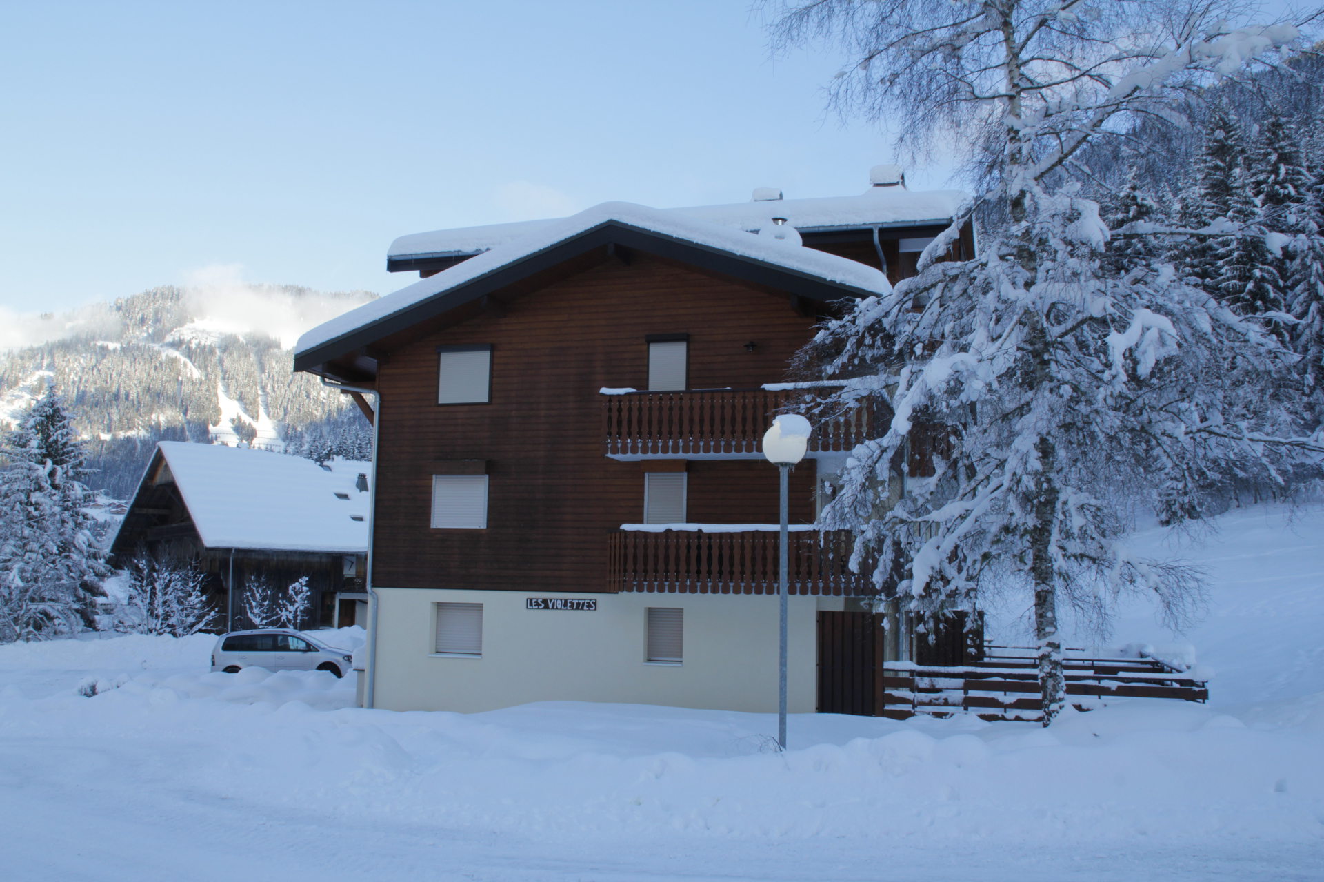 Appartements LES VIOLETTES - Châtel