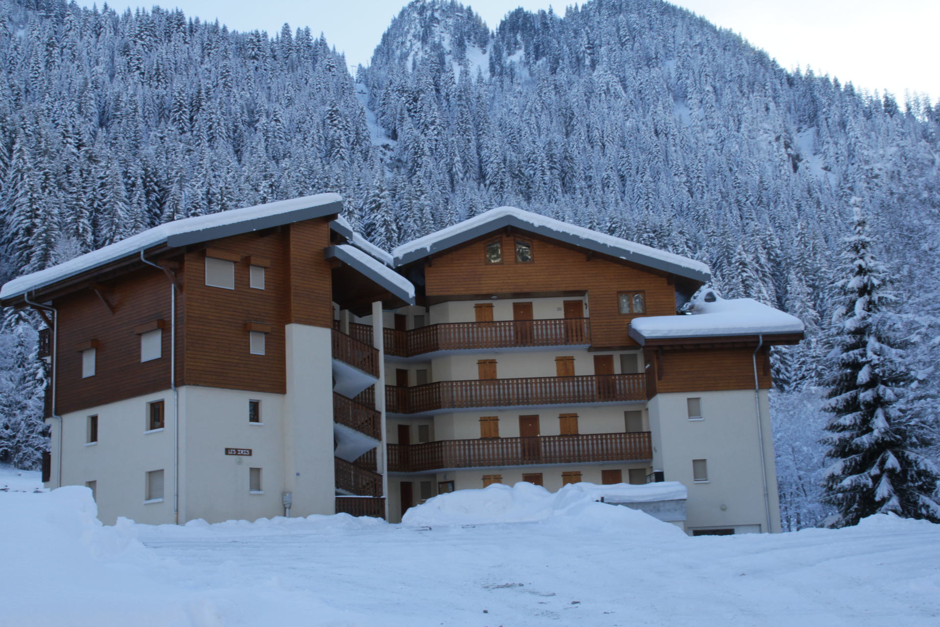 Appartements LES IRIS - Châtel