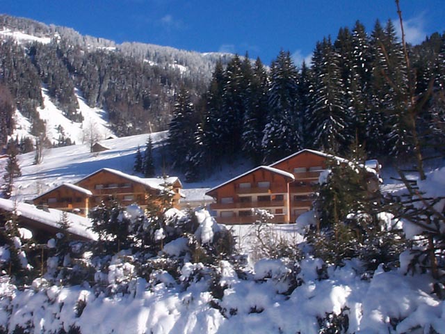 Appartements Les Tyroliens - Châtel