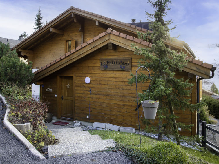 Châlet Chalet Petit Pont - Villars - sur - Ollons 