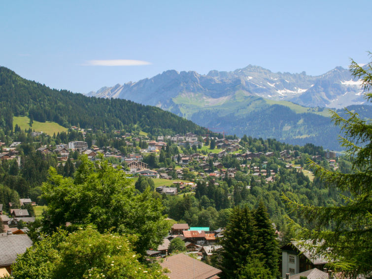 Châlet Le Mont Blanc 14 - Villars - sur - Ollons 