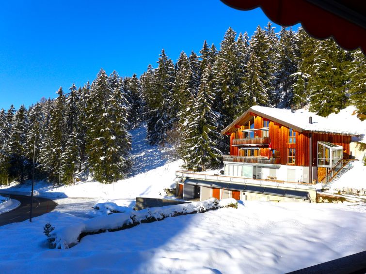 Appartement Les Choucas B - Crans - Montana 