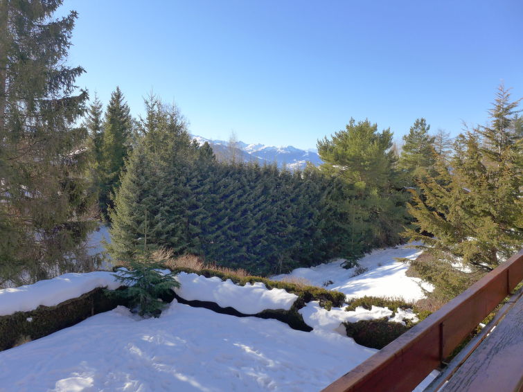 Appartement Soldanella - Crans - Montana 